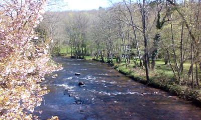 Rivière de la Cure - Crédit photo : A.Dubois 