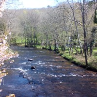 Rivière de la Cure - Crédit photo : A.Dubois 