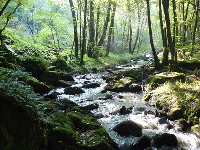 Gorges de la Canche - Crédit photo : Félix Potuit