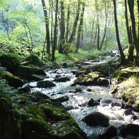 Gorges de la Canche - Crédit photo : Félix Potuit