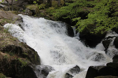 Cascade de la Pisserotte - Crédit photo : Nathalie Schmitt 