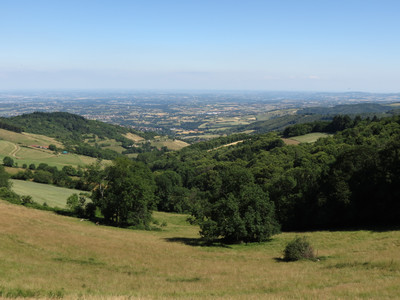 Randonnée autour de Pollionay - Crédit photo : Office du tourisme des vallons du Lyonnais