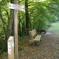 Vers la mine de Pampailly - Office du tourisme des Monts du Lyonnais 