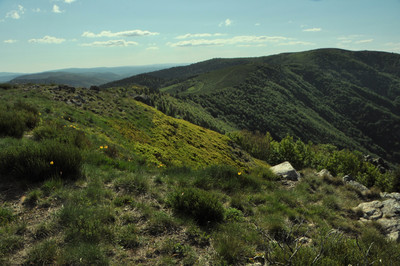 Les serres de la vallée de Haute-Ardèche - Crédit photo : Anne-Marie Juliet