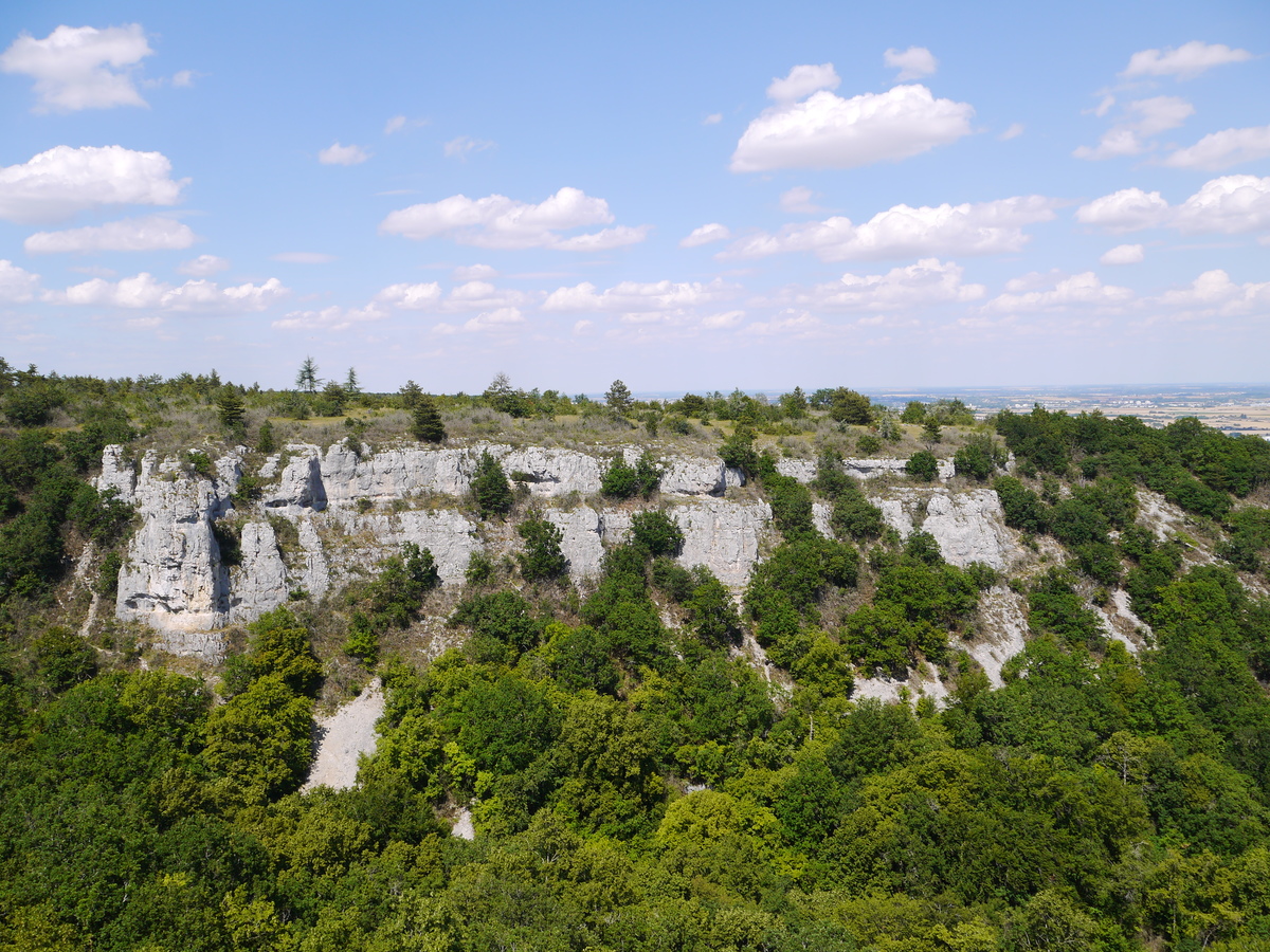 Vue générale