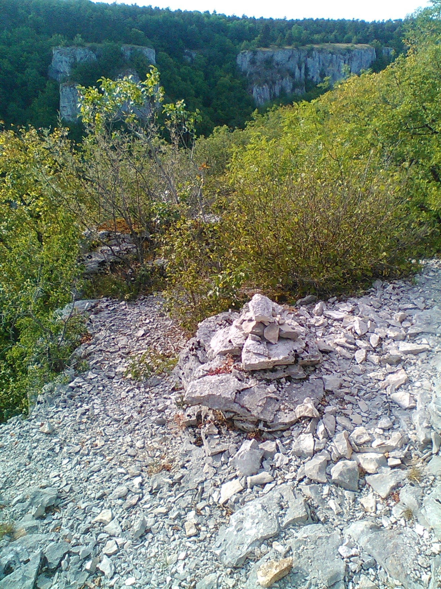 Vue de Lantenay, Combe-aux-Mammouths