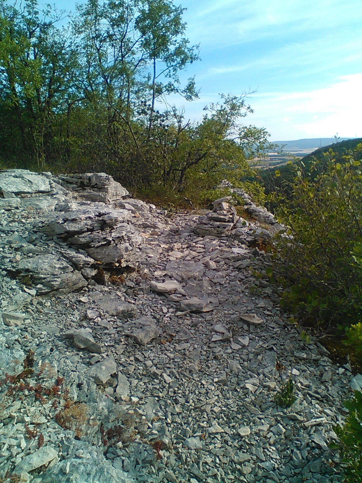 Vue de Lantenay, Combe-aux-Mammouths