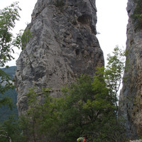La voie