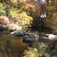 Pont Lagorce à Tarnac - Crédit photo : Parc Naturel Régional de Millevaches, M.Mazurier