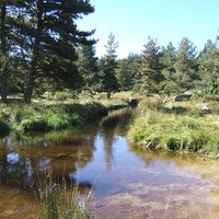 Margeride, ruisseau sur le GR65 - Crédit photo : André Masson