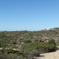 Trail des Calanques