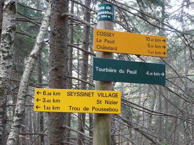 Bois de Poussebou (1254 m)