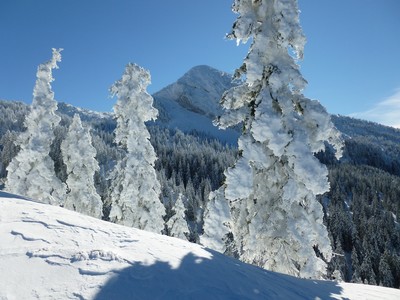 Bleu, blanc, neige dans le massif du Vercors Bleu, blanc, neige dans le massif du Vercors