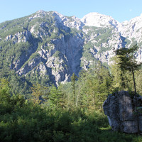 La vache (krava)