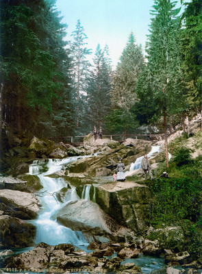 Steinerne Renne dans le Harz, en 1900 par Photoglob N°0000006502 Steinerne Renne dans le Harz, en 1900 par Photoglob N°0000006502