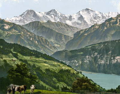 Beatenberg et lac de Thoune, vue sur Eiger, Mönch, Jungfrau, en 1900 par Photoglob N°0000017606
