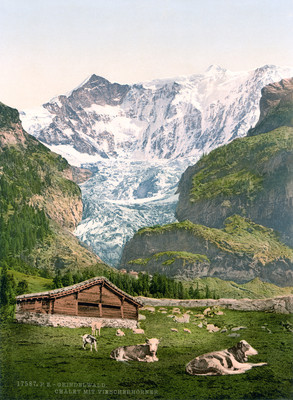 Grindelwald et Fiescherhorn, en 1900 par Photoglob N°0000017587