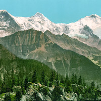 Vue de Schynigeplatte, en 1900 par Photoglob N°0000001605