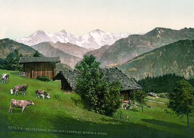Eiger, Mönch, Jungfrau vus de Beatenberg, en 1900 par Photoglob N°0000008770