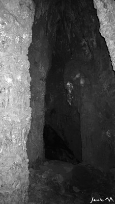 Fond de la cavité avec la niche basse