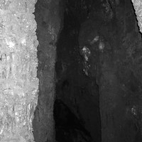 Fond de la cavité avec la niche basse