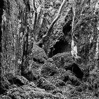 Chaos juste avant le gouffre