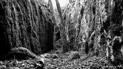 Le canyon
