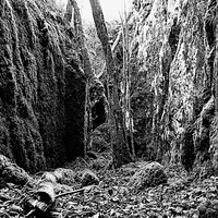 Le canyon