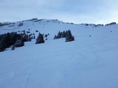 La prairie