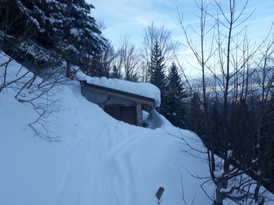 La jauge