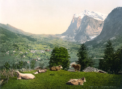Grindelwald et Wetterhorn, en 1900 par Photoglob N°0000017080