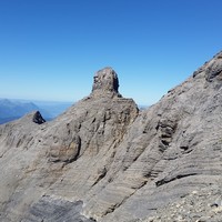 Le Grain de Sarrasin