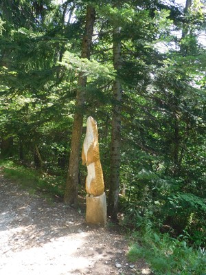 rencontre avec une impressionnante belette... rencontre avec une impressionnante belette...
