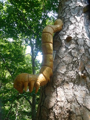 surprise le long du sentier... surprise le long du sentier...