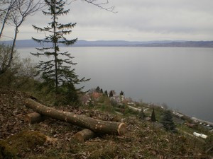 Vue sur le lac Léman. Crédit photo : Association Lou Vionnets