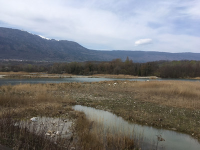 Etangs de l’ancienne gravière de l’Etournel. Crédit photo : Marguerite Marnat