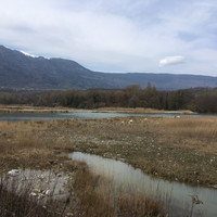Etangs de l’ancienne gravière de l’Etournel. Crédit photo : Marguerite Marnat