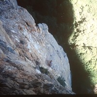 L6