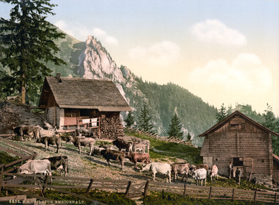 Amsigen en 1900 par Photoglob N°0000006636 Amsigen en 1900 par Photoglob N°0000006636