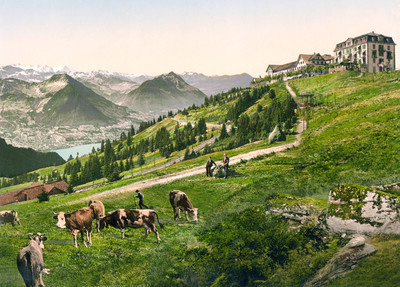 Rigi - Scheidegg en 1900 par Photoglob N°0000009236 Rigi - Scheidegg en 1900 par Photoglob N°0000009236