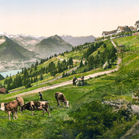 Rigi - Scheidegg en 1900 par Photoglob N°0000009236