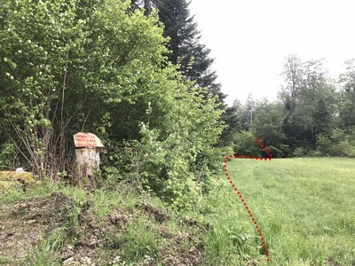 Vu de la place de débardage, avant l'entrée dans la forêt. Vu de la place de débardage, avant l'entrée dans la forêt.