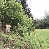 Vu de la place de débardage, avant l'entrée dans la forêt. 