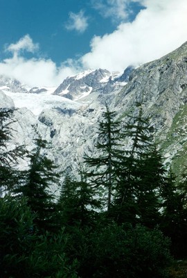 Glacier Blanc and Pic du Glacier d'Arsine par YM en1960 Glacier Blanc and Pic du Glacier d'Arsine par YM en1960