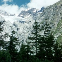 Glacier Blanc and Pic du Glacier d'Arsine par YM en1960