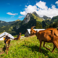 Dent d'Oche depuis le Pré Richard ©SIAC @Antoine_Berger