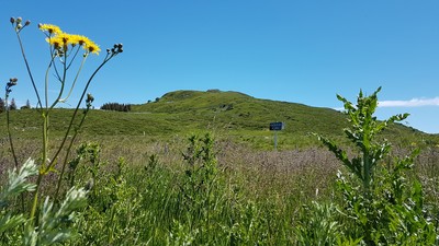Puy de Prat de Bouc depuis le col .