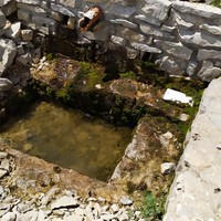 Fonfiole au 20/06/2020