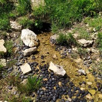 Résurgence côté E du mamelon de la fontaine des Endettés (attention, ce N'EST PAS la fontaine des Endettés)
