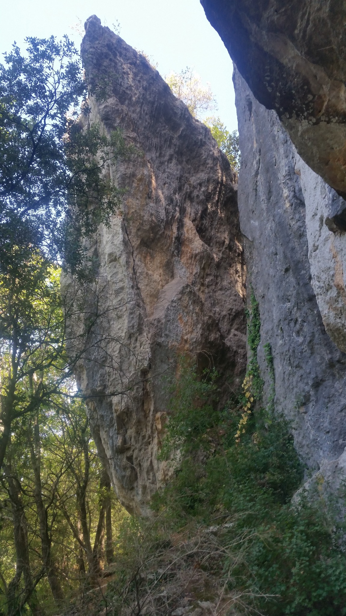 Secteur de l'Ile